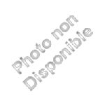 Agrandir