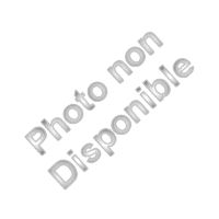 Agrandir